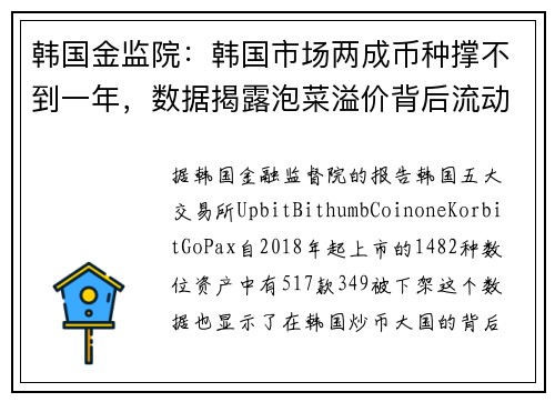 韩国金监院：韩国市场两成币种撑不到一年，数据揭露泡菜溢价背后流动性