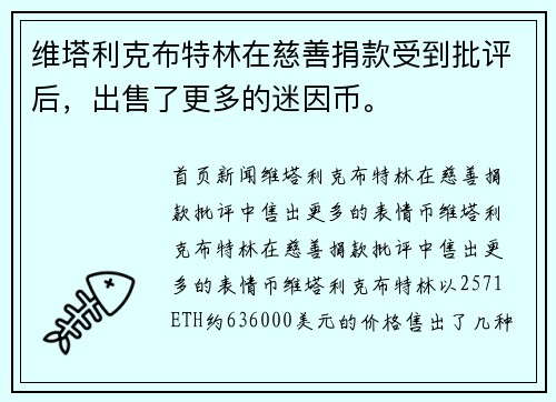 维塔利克布特林在慈善捐款受到批评后，出售了更多的迷因币。